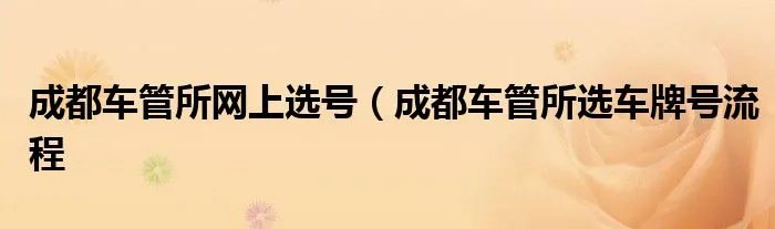 成都车管所网上选号（成都车管所选车牌号流程