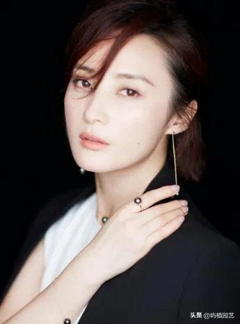 蒋勤勤演过哪些好看的电视剧?