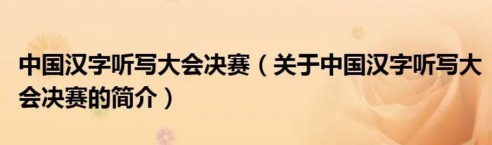 中国汉字听写大会决赛（关于中国汉字听写大会决赛的简介）