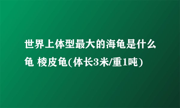 世界上体型最大的海龟是什么龟 棱皮龟(体长3米/重1吨)