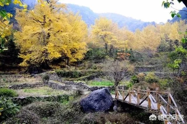 水没坪村