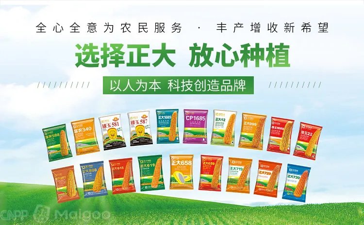 品牌榜:2023年猪饲料十大品牌排行榜 投票结果公布【新】