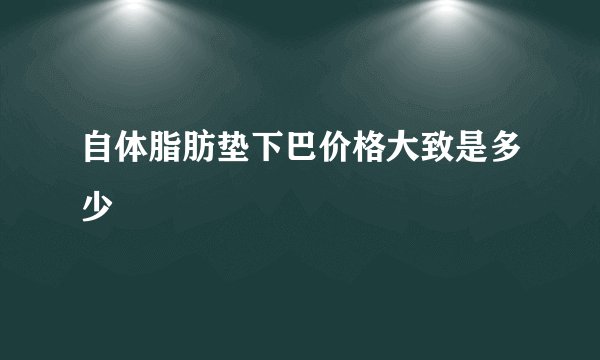 自体脂肪垫下巴价格大致是多少