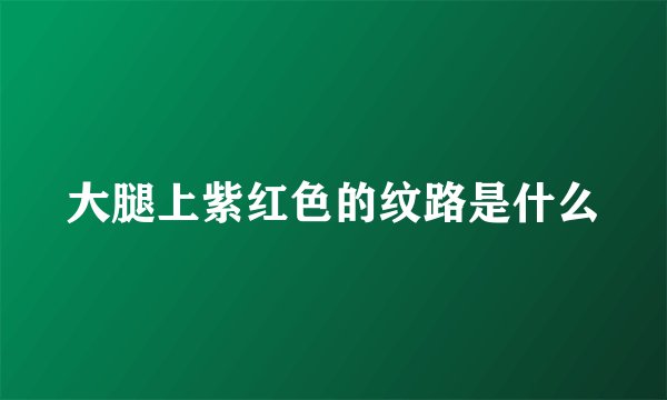 大腿上紫红色的纹路是什么