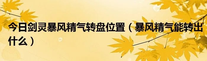 今日剑灵暴风精气转盘位置（暴风精气能转出什么）