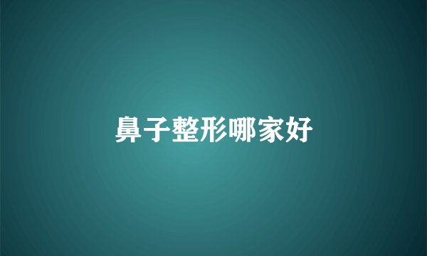 鼻子整形哪家好