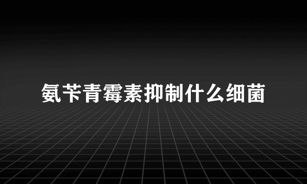 氨苄青霉素抑制什么细菌