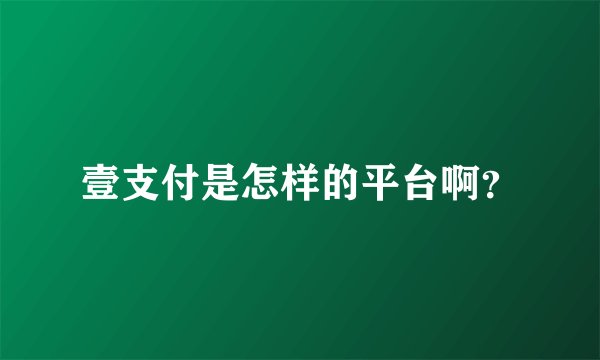 壹支付是怎样的平台啊？