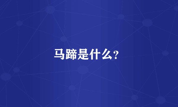 马蹄是什么？