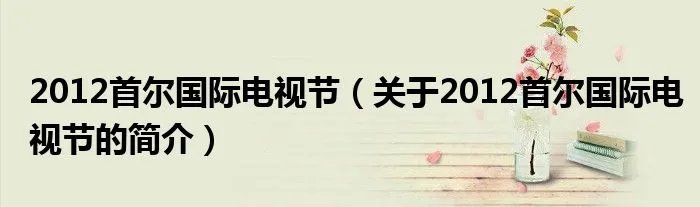 2012首尔国际电视节（关于2012首尔国际电视节的简介）