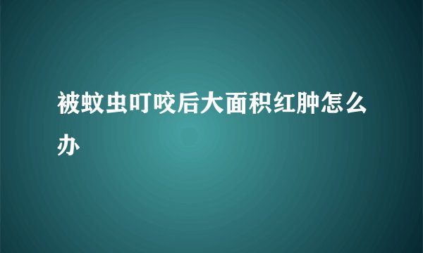 被蚊虫叮咬后大面积红肿怎么办