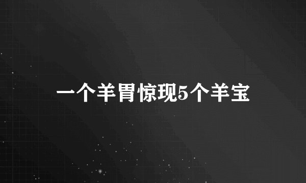 一个羊胃惊现5个羊宝