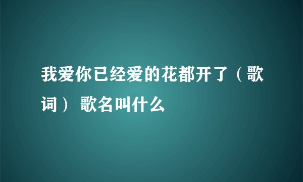 我爱你已经爱的花都开了（歌词） 歌名叫什么