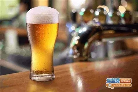 青岛啤酒工资查询网址,青岛啤酒公司查工资的网站?