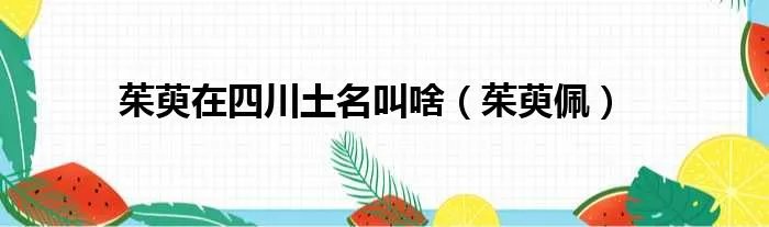 茱萸在四川土名叫啥（茱萸佩）