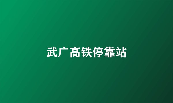 武广高铁停靠站