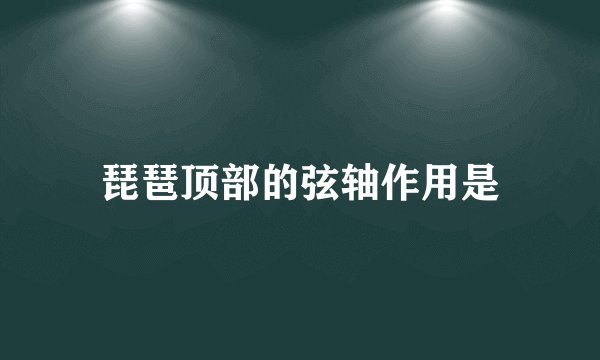 琵琶顶部的弦轴作用是