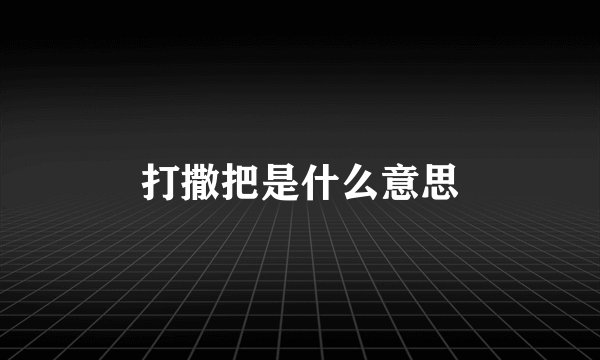 打撒把是什么意思
