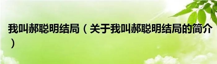 我叫郝聪明结局（关于我叫郝聪明结局的简介）