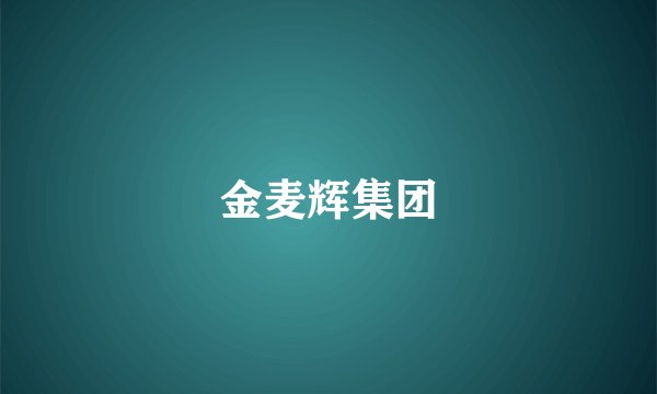 金麦辉集团
