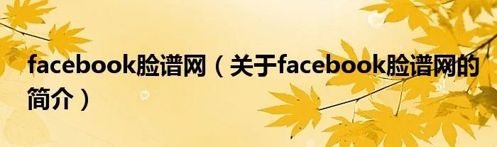 facebook脸谱网(关于facebook脸谱网的简介)