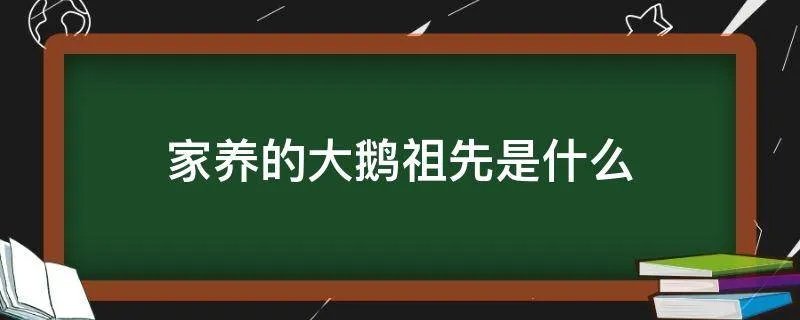 家养的大鹅祖先是什么