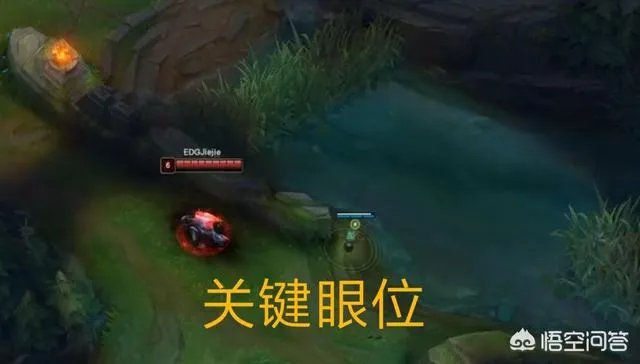 IG战胜EDG终止连败！新中单什么来历？精妙眼位是获胜关键吗？卢卡斯：都演我！你怎么看？