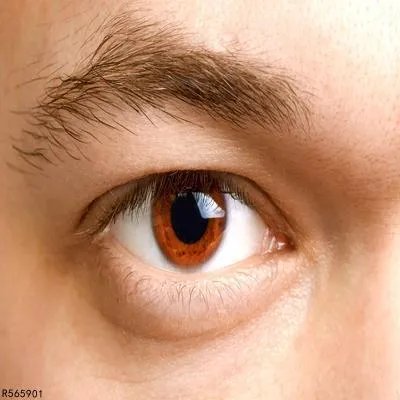 男生修眉一般多少钱