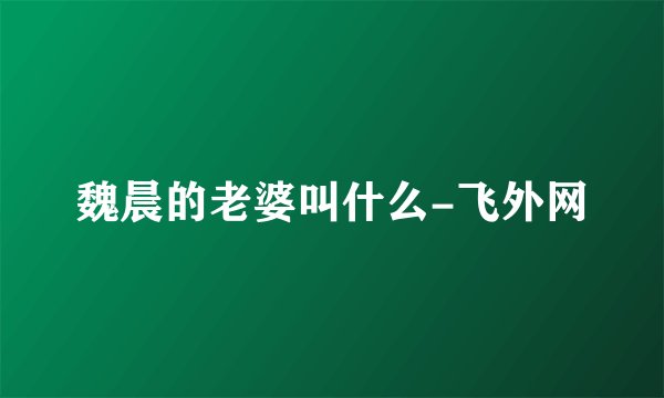 魏晨的老婆叫什么-飞外网