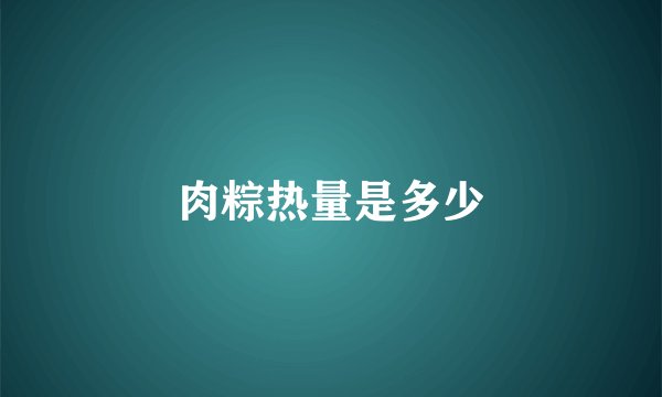 肉粽热量是多少