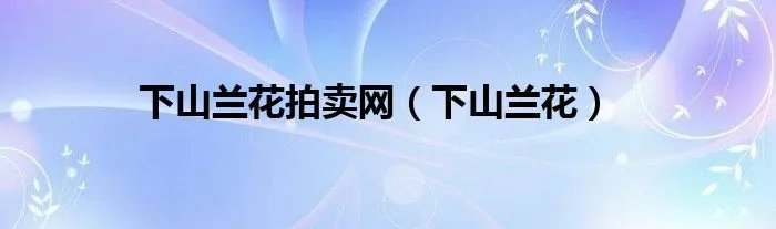 下山兰花拍卖网（下山兰花）