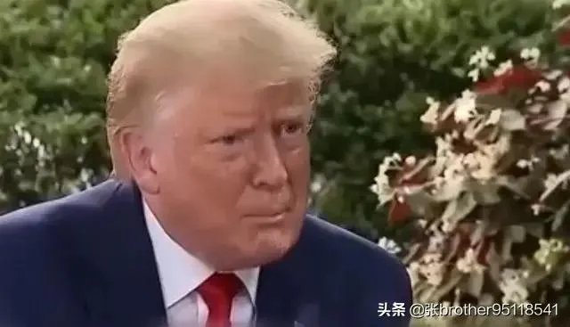 你怎么评价特朗普败选？