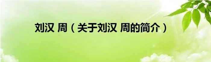 刘汉 周（关于刘汉 周的简介）