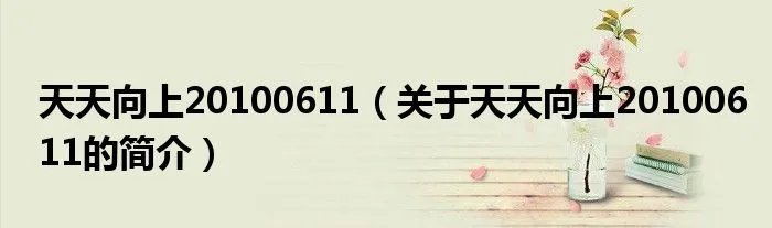 天天向上20100611（关于天天向上20100611的简介）