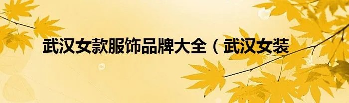 武汉女款服饰品牌大全（武汉女装