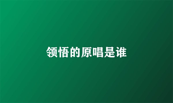 领悟的原唱是谁