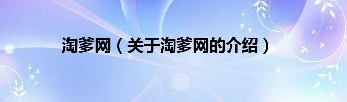 淘爹网（关于淘爹网的介绍）