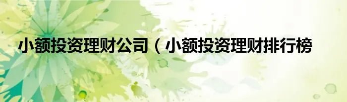 小额投资理财公司（小额投资理财排行榜