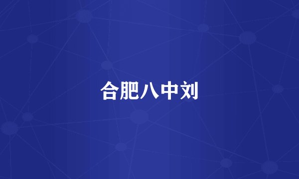 合肥八中刘