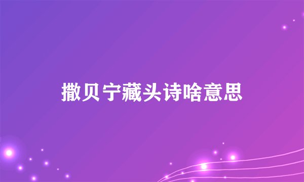 撒贝宁藏头诗啥意思