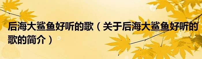 后海大鲨鱼好听的歌（关于后海大鲨鱼好听的歌的简介）