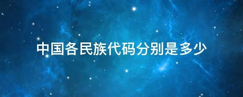 中国各民族代码分别是多少