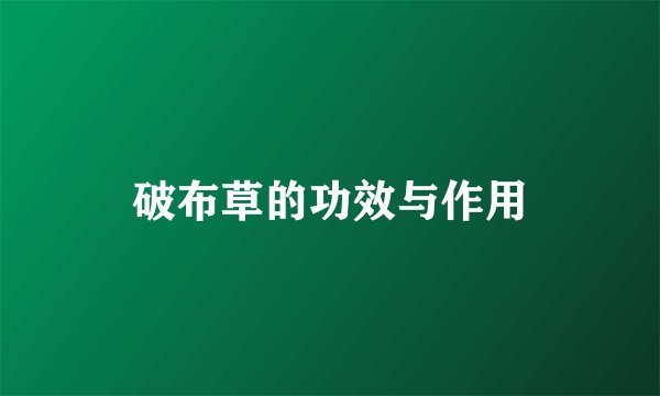 破布草的功效与作用