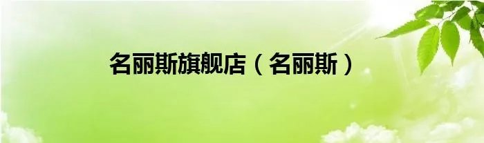 名丽斯旗舰店（名丽斯）