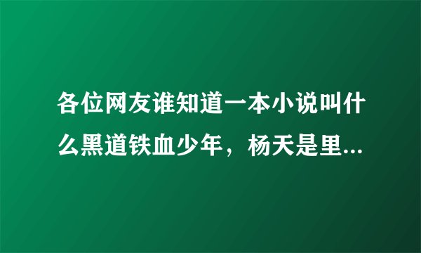 各位网友谁知道一本小说叫什么黑道铁血少年，杨天是里面的主角？