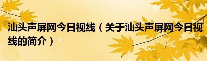 汕头声屏网今日视线（关于汕头声屏网今日视线的简介）