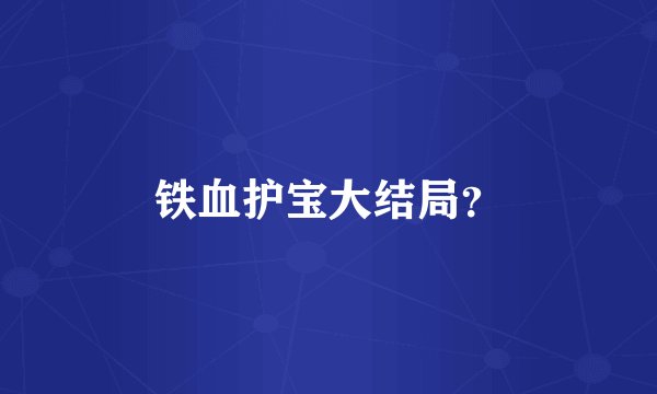 铁血护宝大结局?