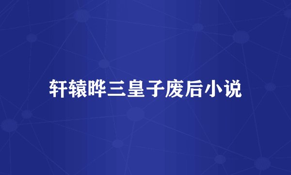 轩辕晔三皇子废后小说