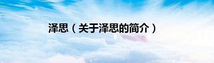 泽思（关于泽思的简介）