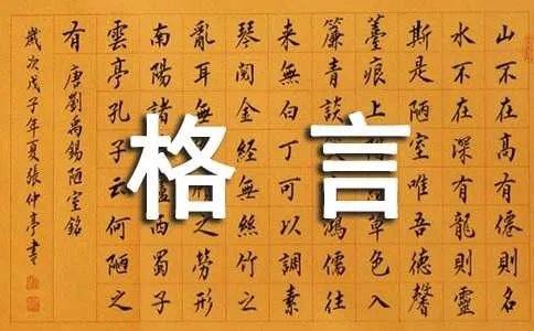 经典人生哲理格言100条